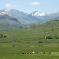 Sur les routes de haute Auvergne